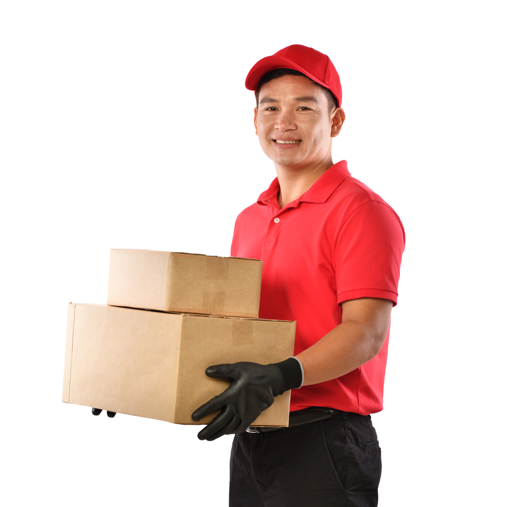 Packers and movers in Noida