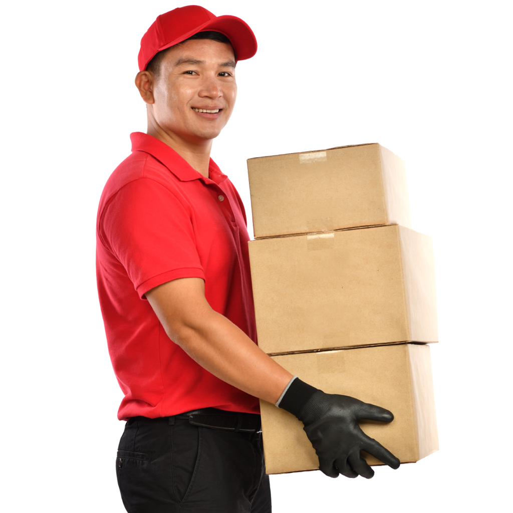 Packers and movers in Noida